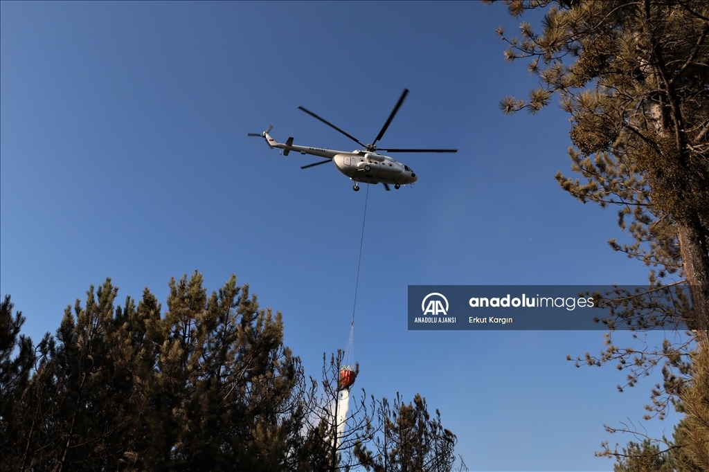 Kastamonu'da çıkan yangına müdahale ediliyor