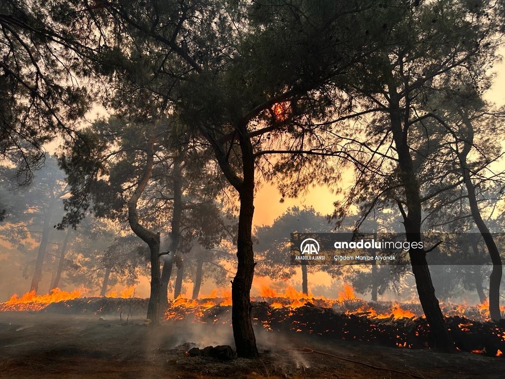 Çanakkale'de çıkan orman yangınını söndürme çalışmaları devam ediyor