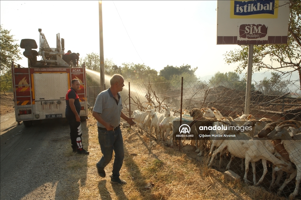 Çanakkale'de çıkan orman yangınını söndürme çalışmaları devam ediyor