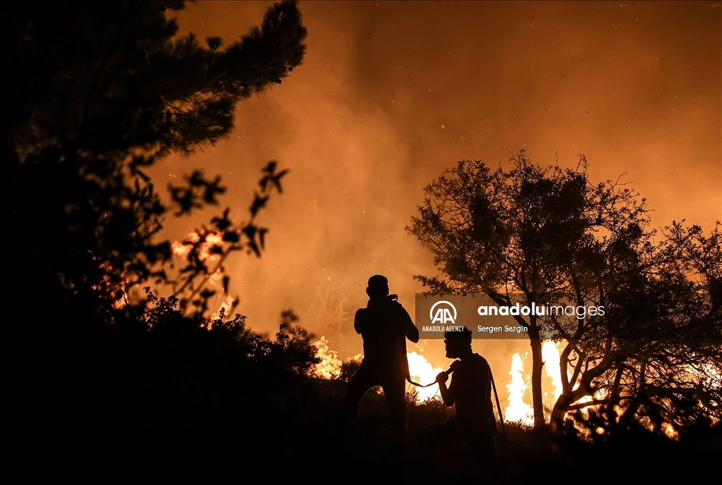 Efforts to extinguish wildfire continue in western Turkiye