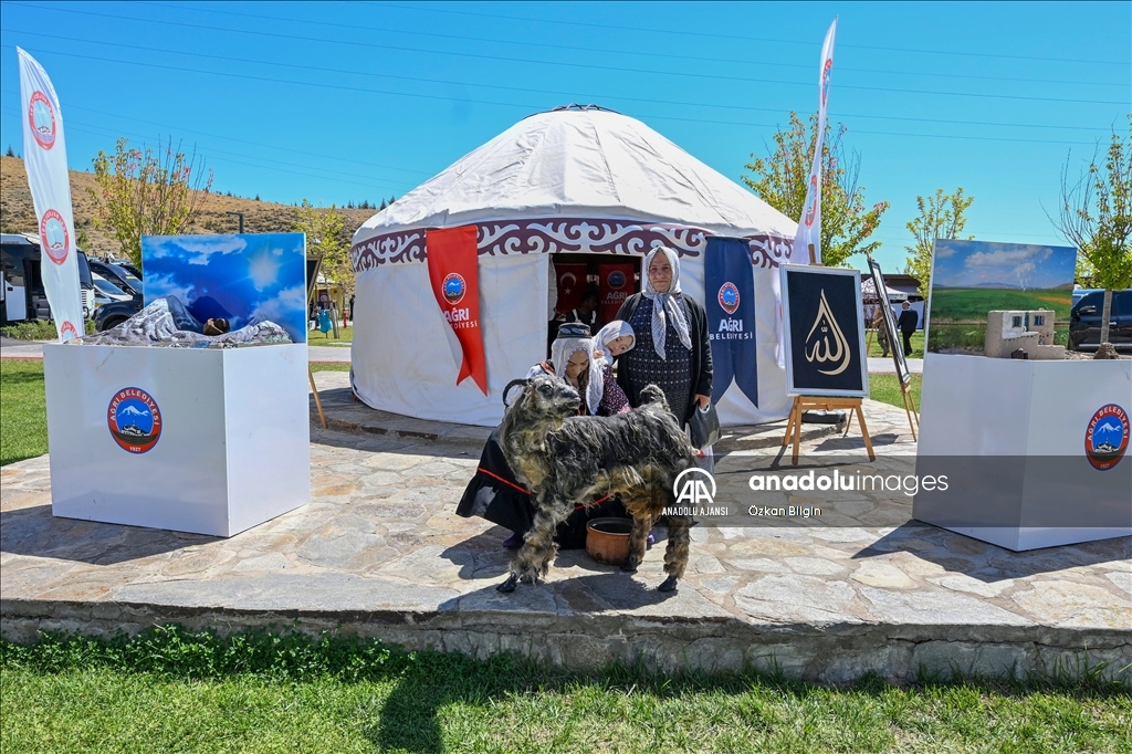 Ahlat'ta Malazgirt Zaferi'nin 952. yıl dönümü etkinlikleri başladı