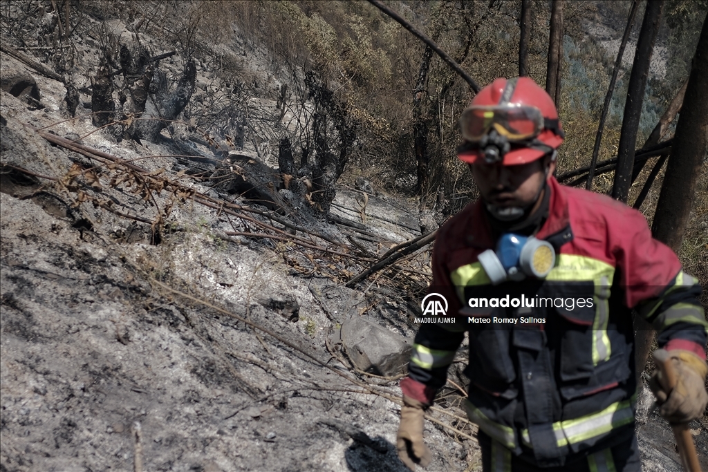 Bolivya'nın Quime kenti yakınlarındaki orman yangını kontrol altına alındı