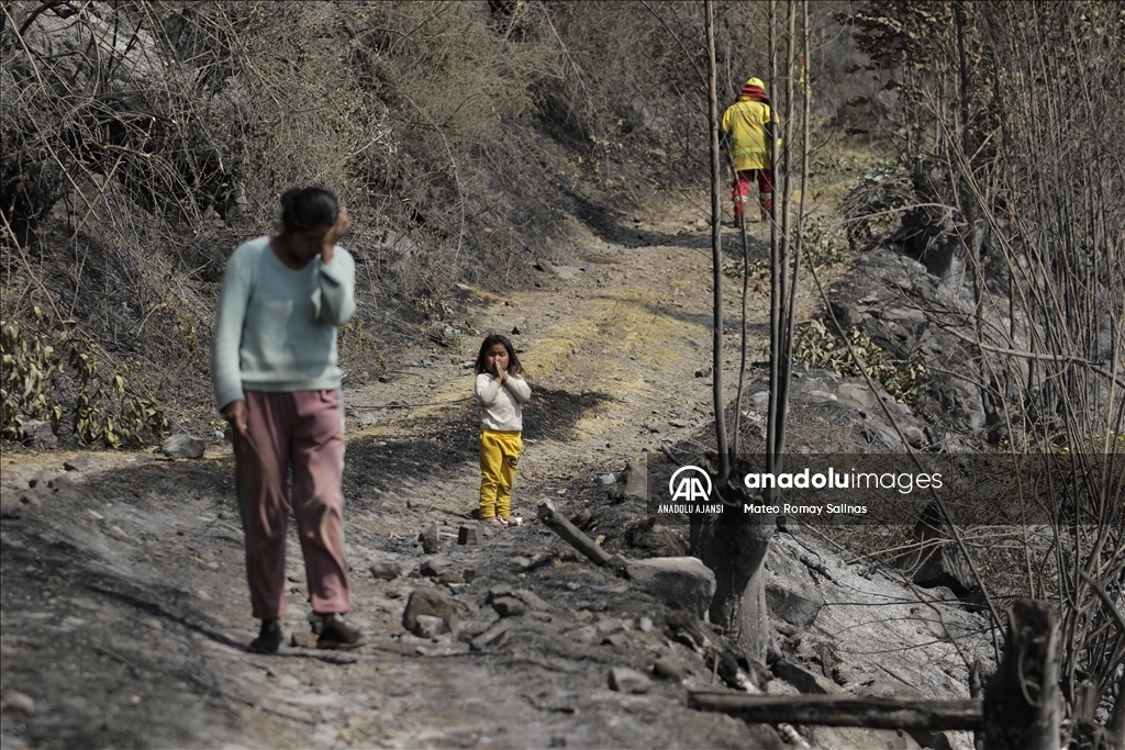 Bolivya'nın Quime kenti yakınlarındaki orman yangını kontrol altına alındı