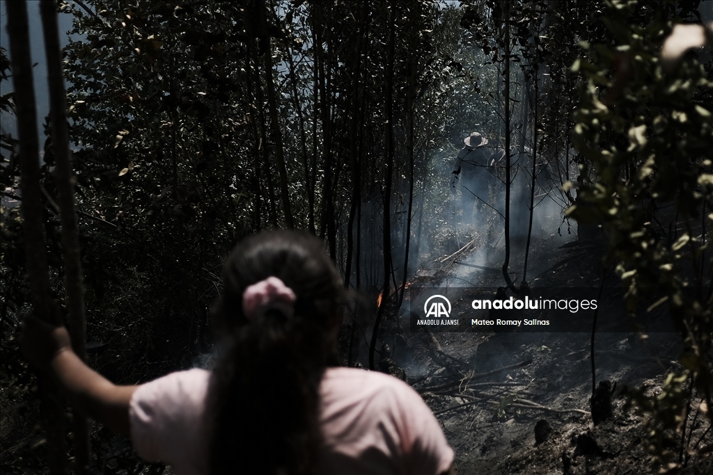 Bolivya'nın Quime kenti yakınlarındaki orman yangını kontrol altına alındı