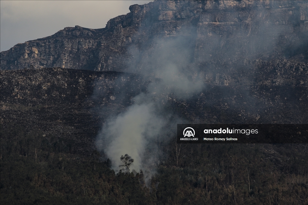 Bolivya'nın Quime kenti yakınlarındaki orman yangını kontrol altına alındı