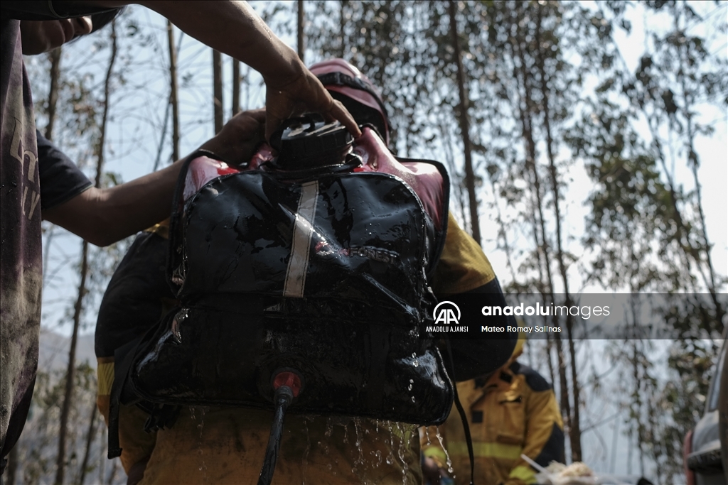 Bolivya'nın Quime kenti yakınlarındaki orman yangını kontrol altına alındı