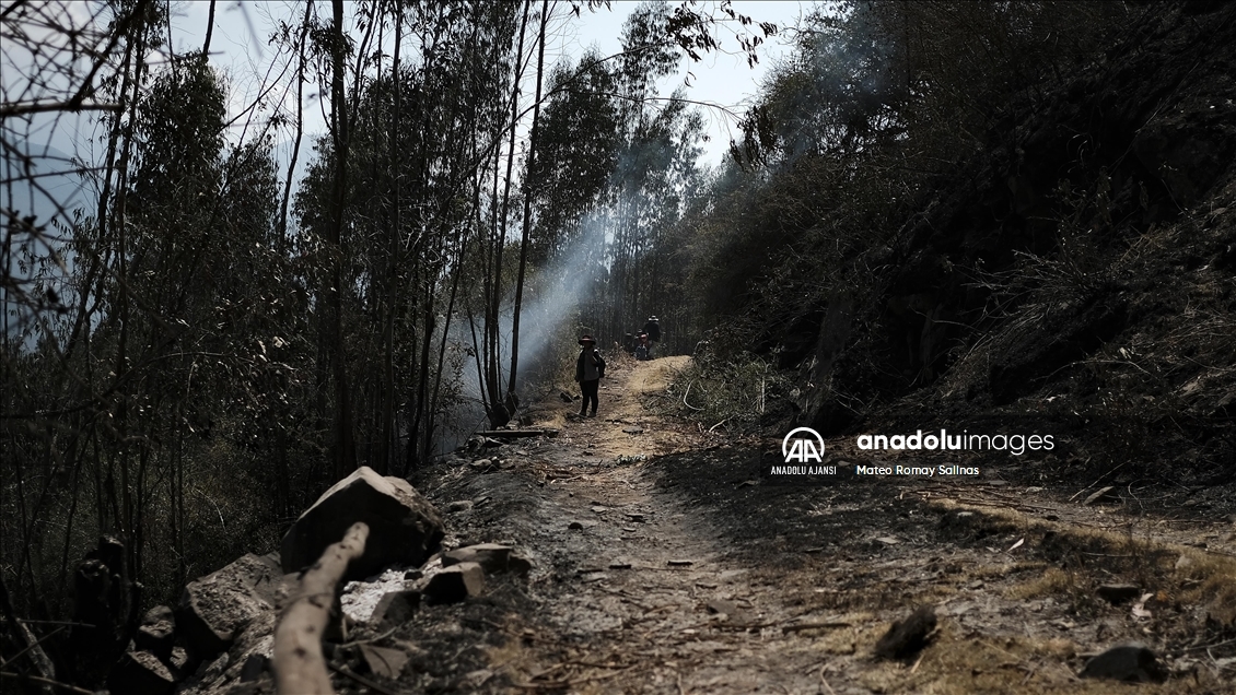 Bolivya'nın Quime kenti yakınlarındaki orman yangını kontrol altına alındı