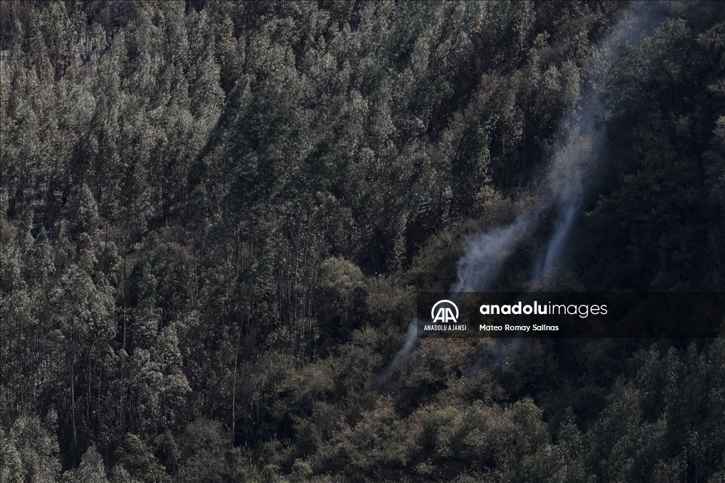 Bolivya'nın Quime kenti yakınlarındaki orman yangını kontrol altına alındı