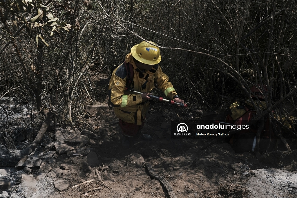 Bolivya'nın Quime kenti yakınlarındaki orman yangını kontrol altına alındı