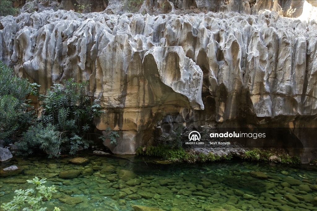 Serinlemek isteyen turistlerin adresi: "Gezende Kanyonu"