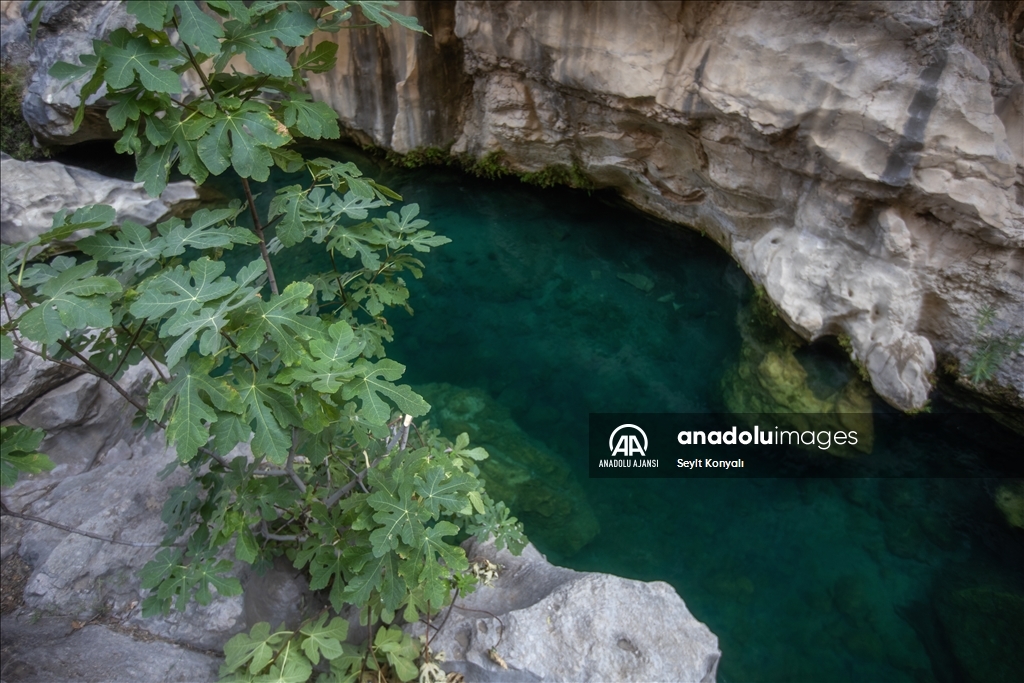 Serinlemek isteyen turistlerin adresi: "Gezende Kanyonu"