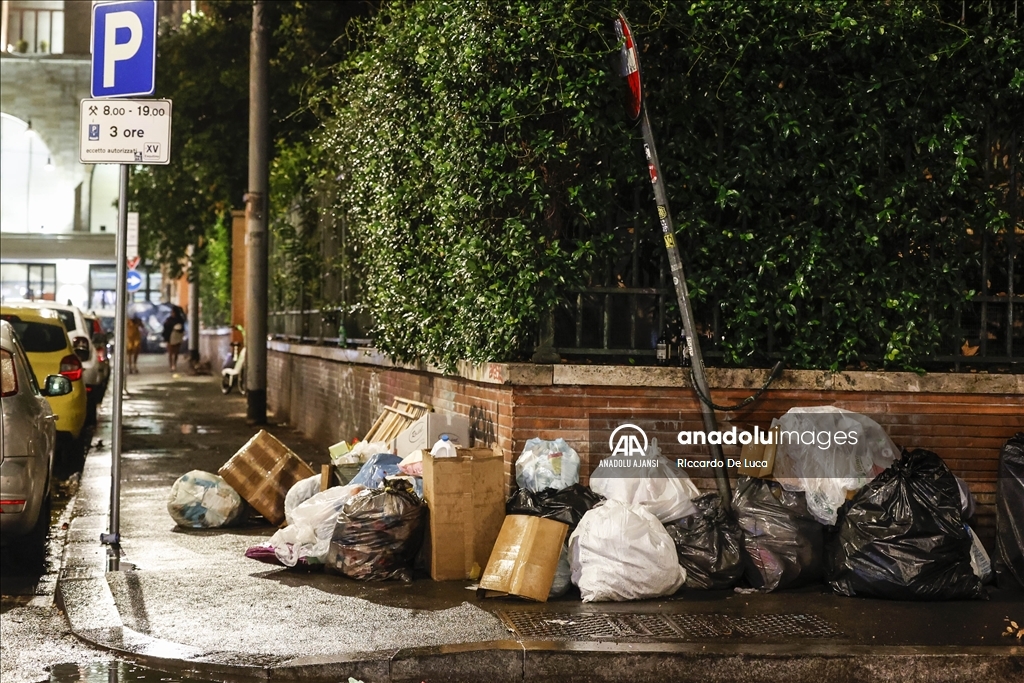 İtalya'da Kolezyum çevresinde fare istilası