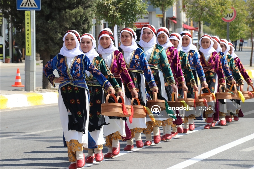 Şanlıurfa'da Büyük Zafer'in 101. yılı kutlanıyor
