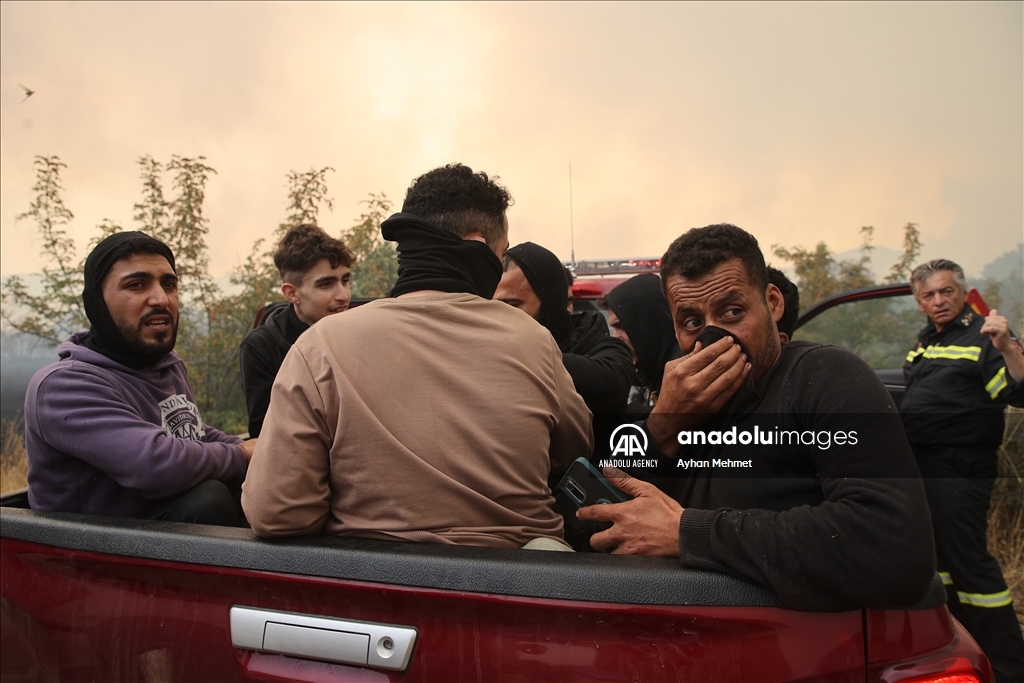 Irregular migrants stranded during wildfire in Dadia village of Greece