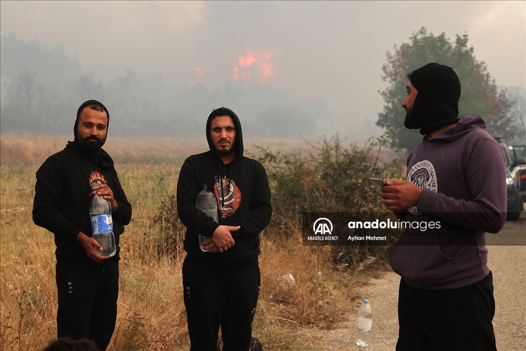 Irregular migrants stranded during wildfire in Dadia village of Greece