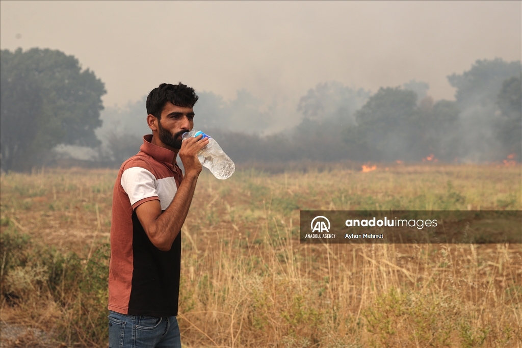 Irregular migrants stranded during wildfire in Dadia village of Greece