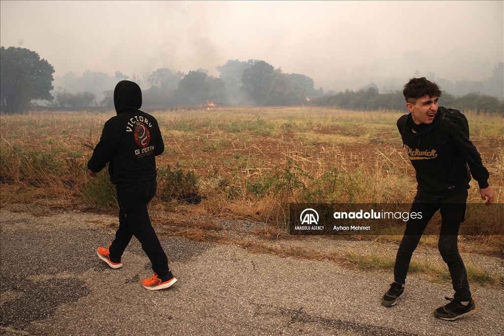 Irregular migrants stranded during wildfire in Dadia village of Greece