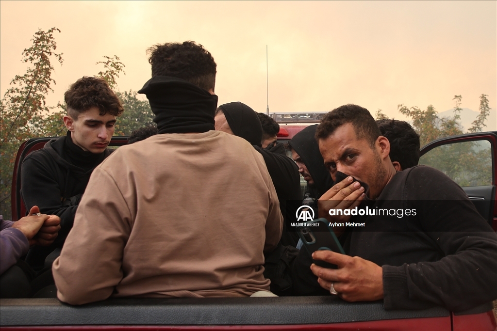 Irregular migrants stranded during wildfire in Dadia village of Greece