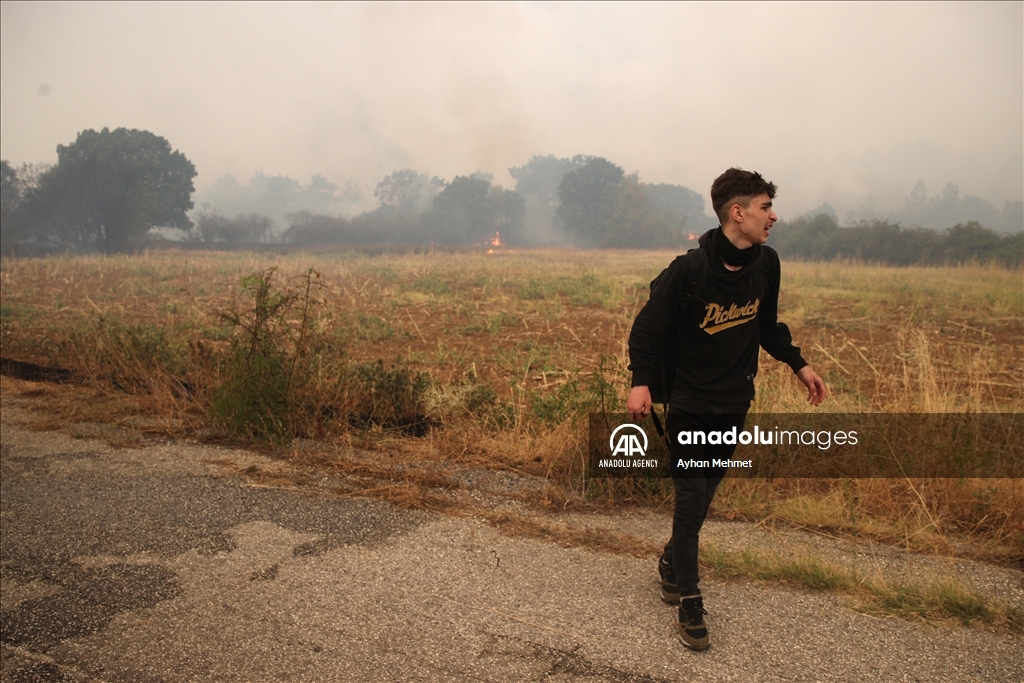 Irregular migrants stranded during wildfire in Dadia village of Greece