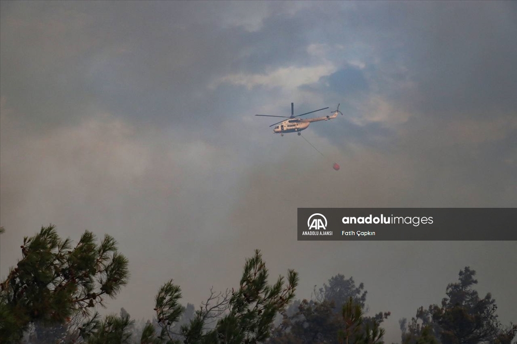 Bursa'da çıkan orman yangınına müdahale ediliyor