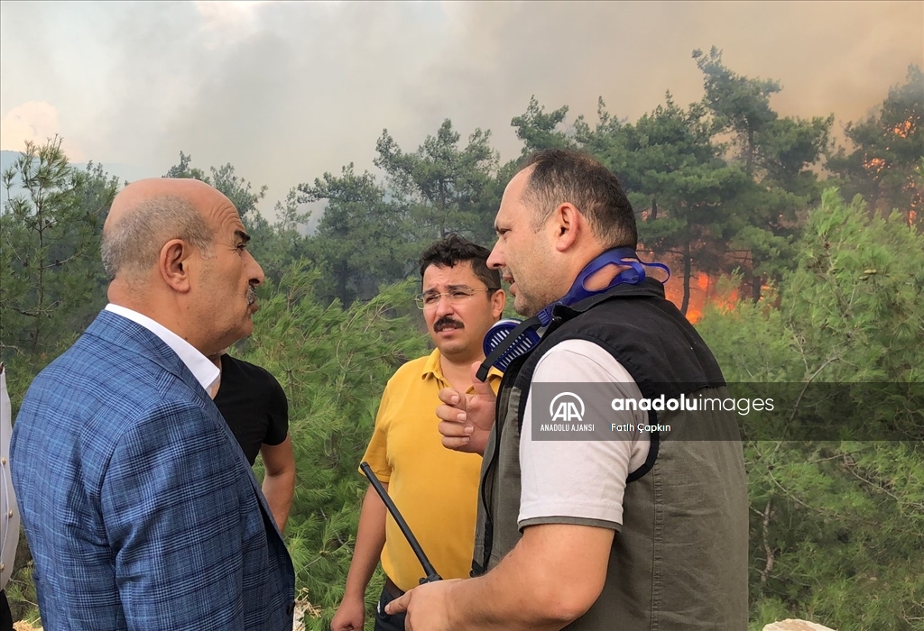 Bursa'da çıkan orman yangınına müdahale ediliyor