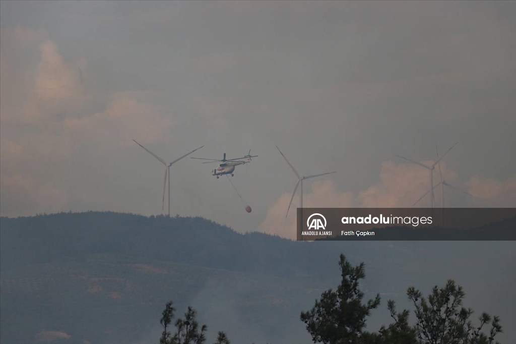 Bursa'da çıkan orman yangınına müdahale ediliyor