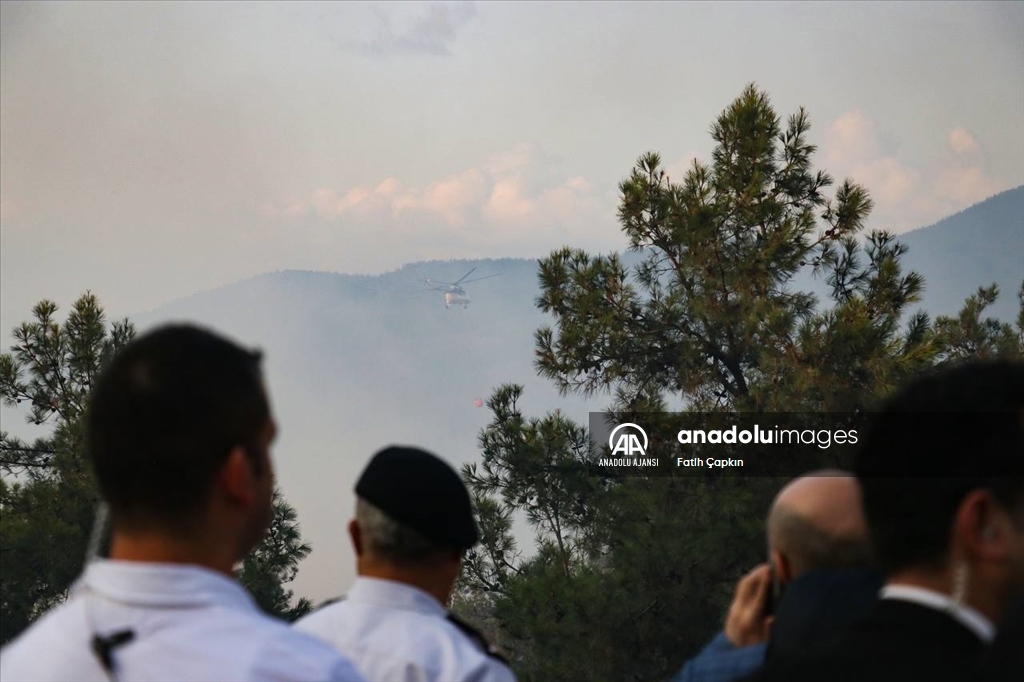 Bursa'da çıkan orman yangınına müdahale ediliyor