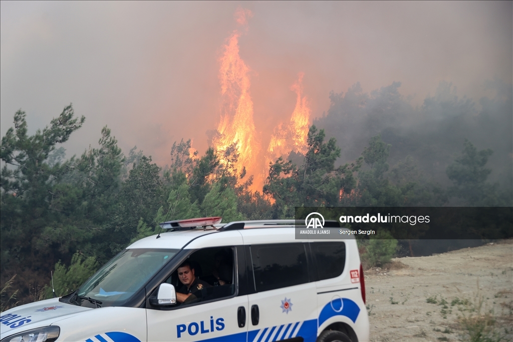 Bursa'da çıkan orman yangınına müdahale ediliyor