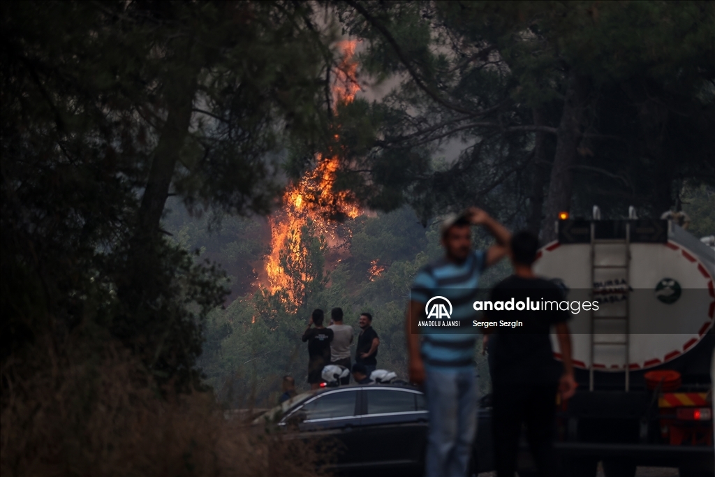 Bursa'da çıkan orman yangınına müdahale ediliyor