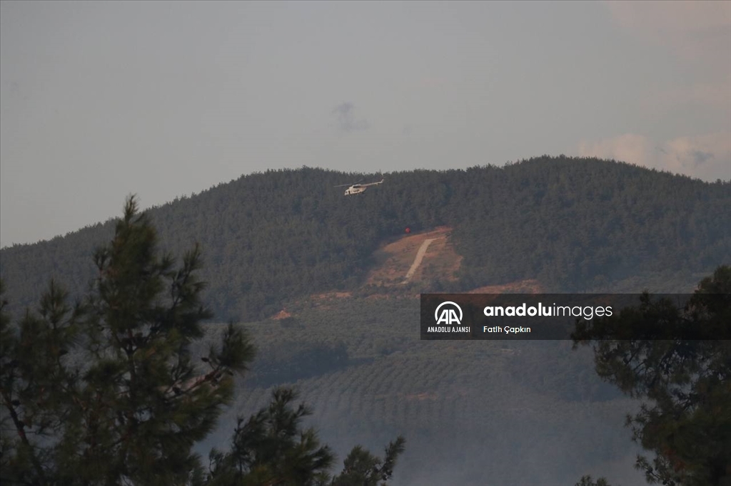 Bursa'da çıkan orman yangınına müdahale ediliyor