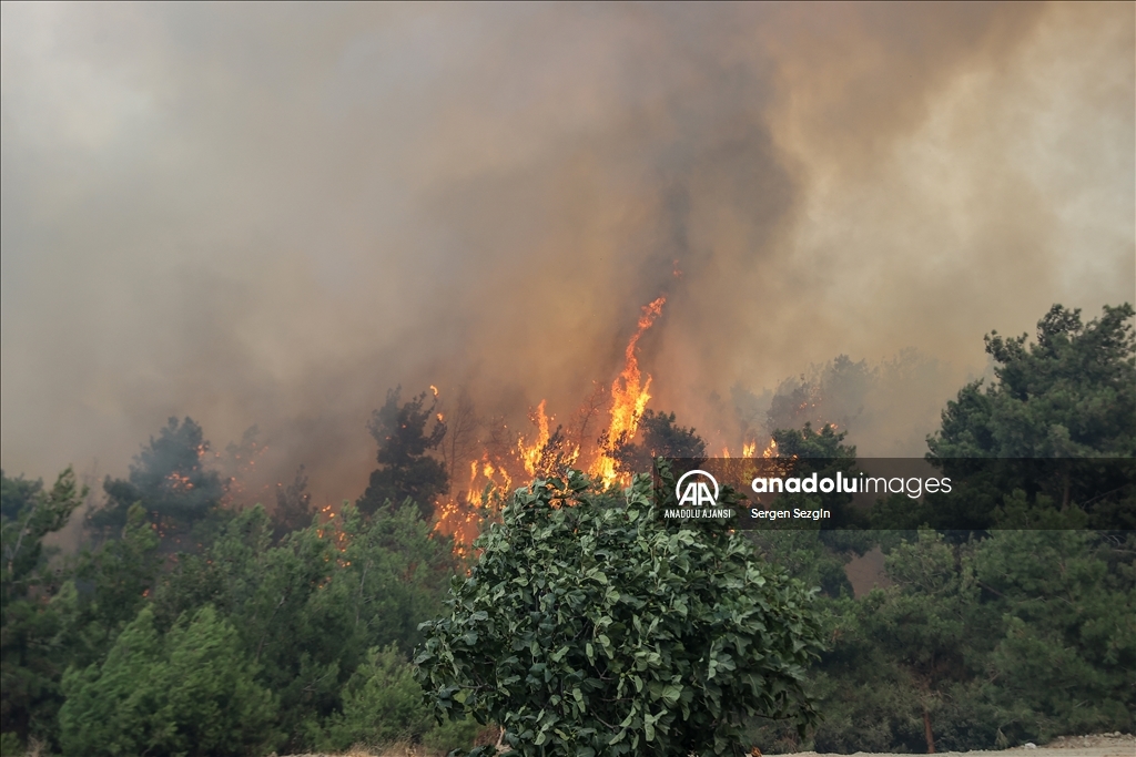 Bursa'da çıkan orman yangınına müdahale ediliyor