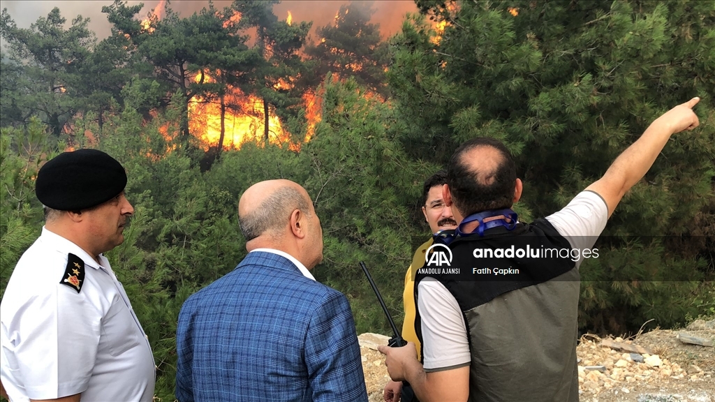 Bursa'da çıkan orman yangınına müdahale ediliyor