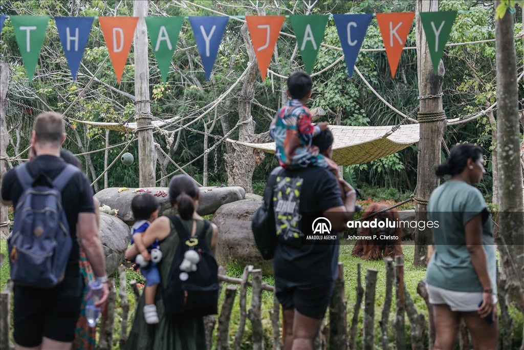 Indonezija: Najstariji orangutan na Baliju proslavio 46. rođendan