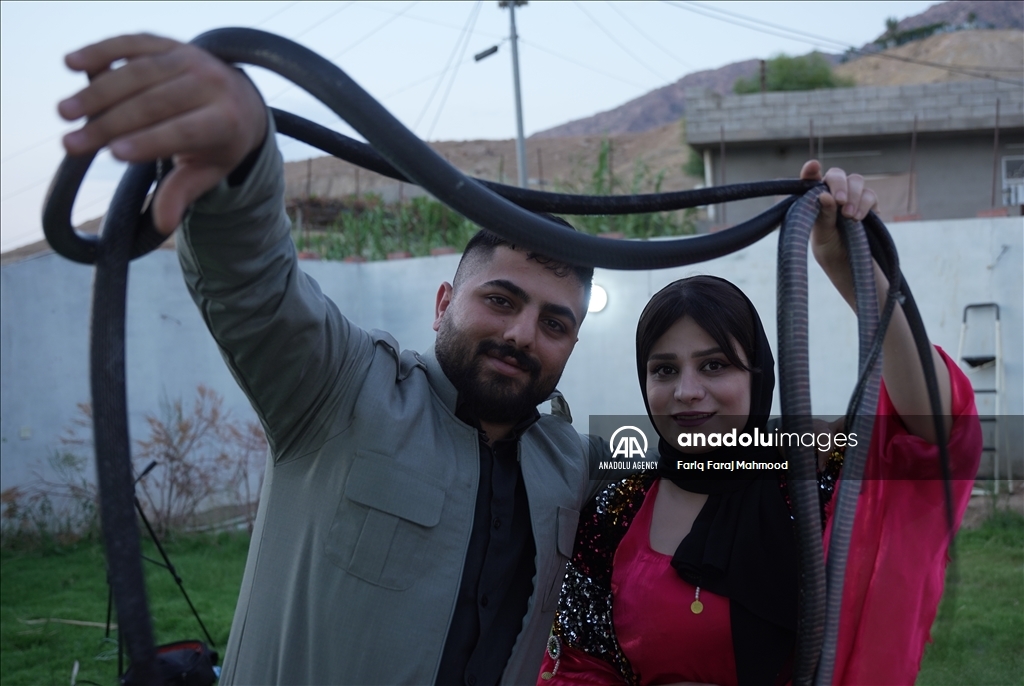 بە بەخێوکردنی مار و دروستکردنی زەیت لە کاژەکەی، بژێوی ژیانیان پەیدا دەکەن
