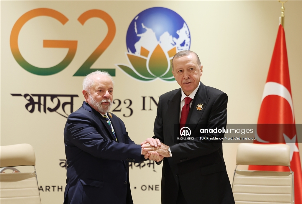 أردوغان يلتقي الرئيس البرازيلي في نيودلهي