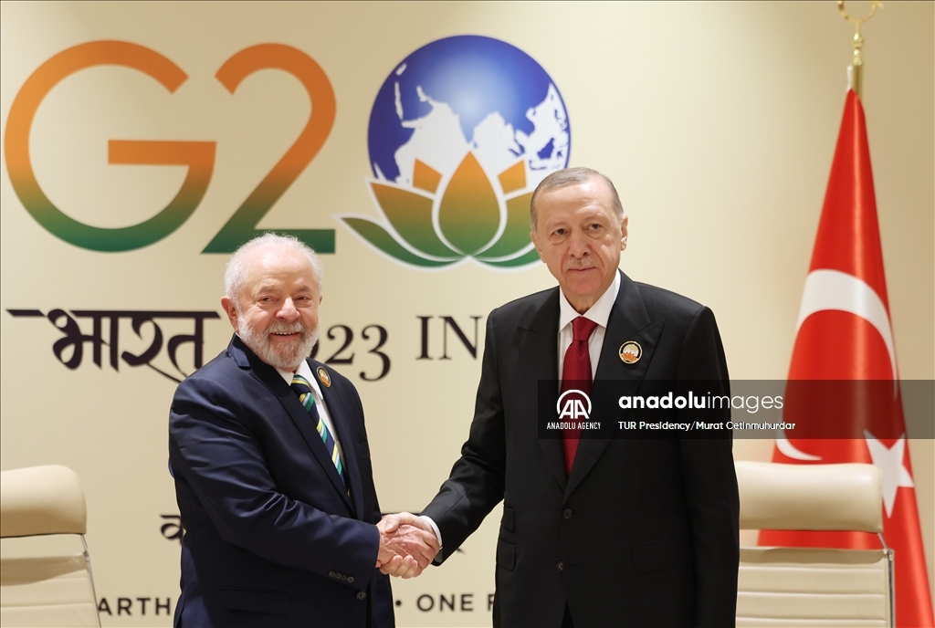 أردوغان يلتقي الرئيس البرازيلي في نيودلهي