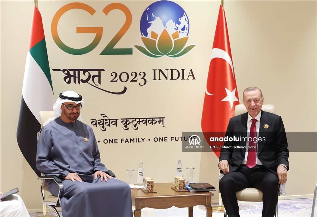 أردوغان يلتقي ابن زايد في نيودلهي