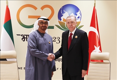 أردوغان يلتقي ابن زايد في نيودلهي