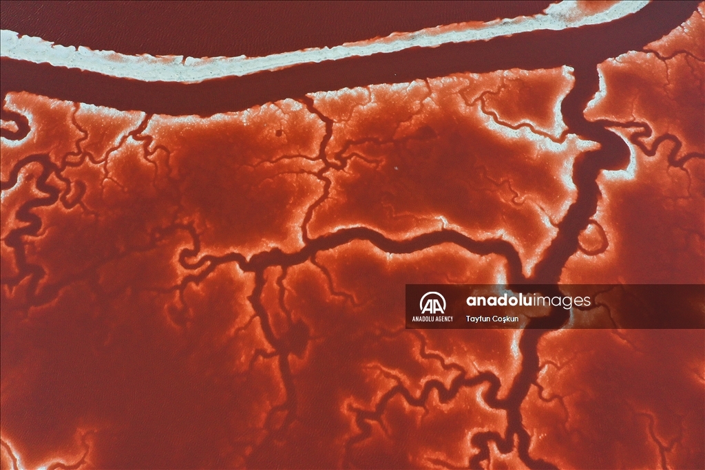 Salt ponds of Alviso Marina County Park in California