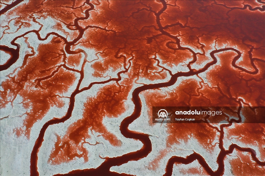 Salt ponds of Alviso Marina County Park in California