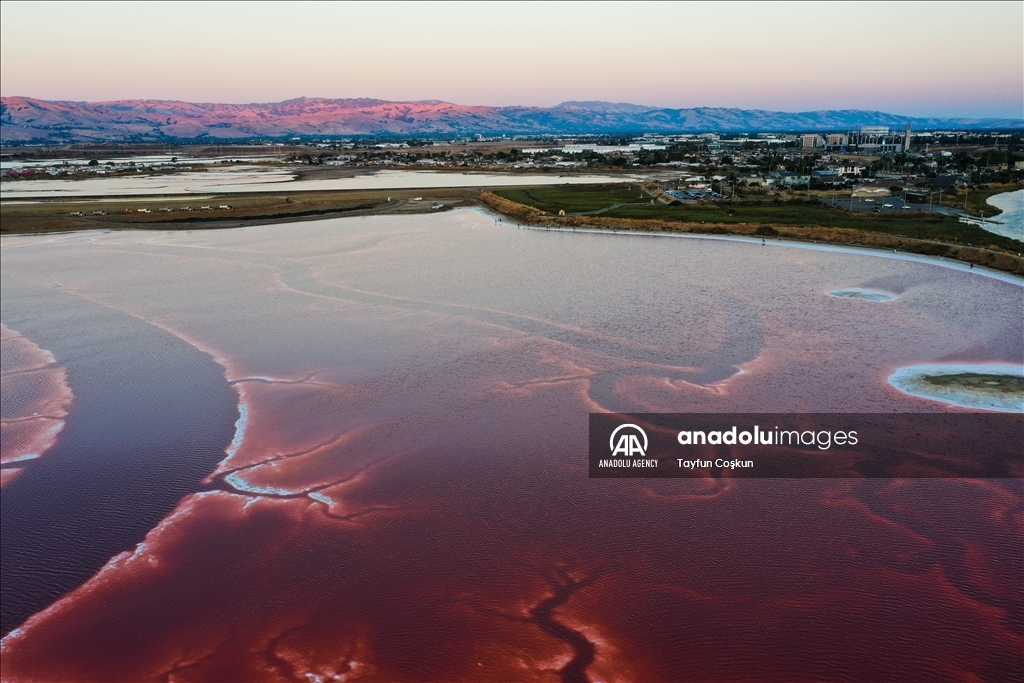 Salt ponds of Alviso Marina County Park in California