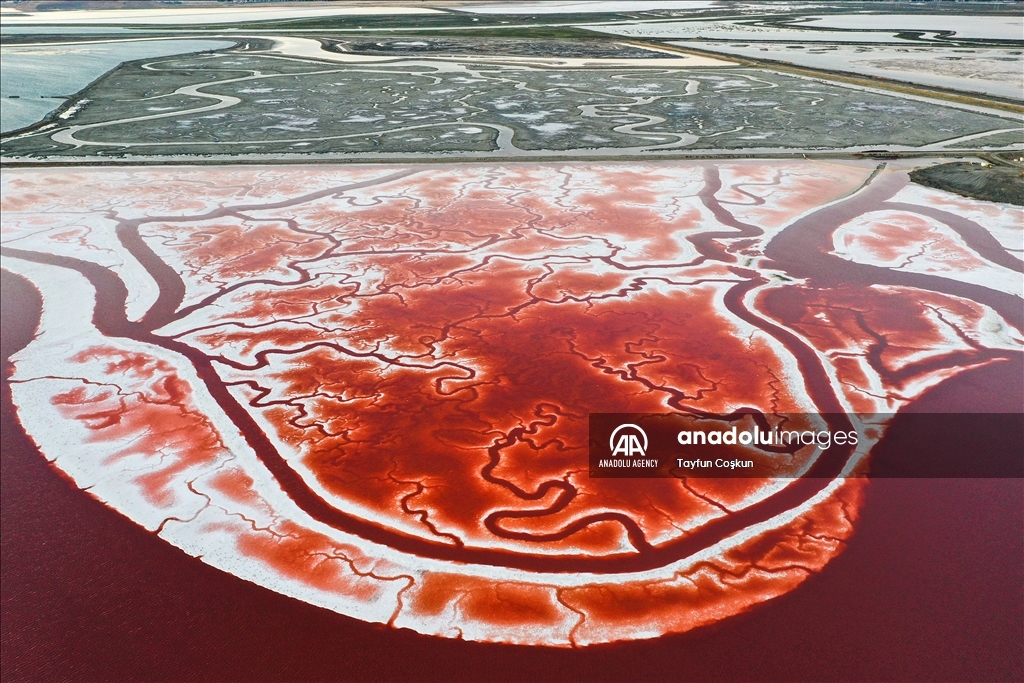 Salt ponds of Alviso Marina County Park in California