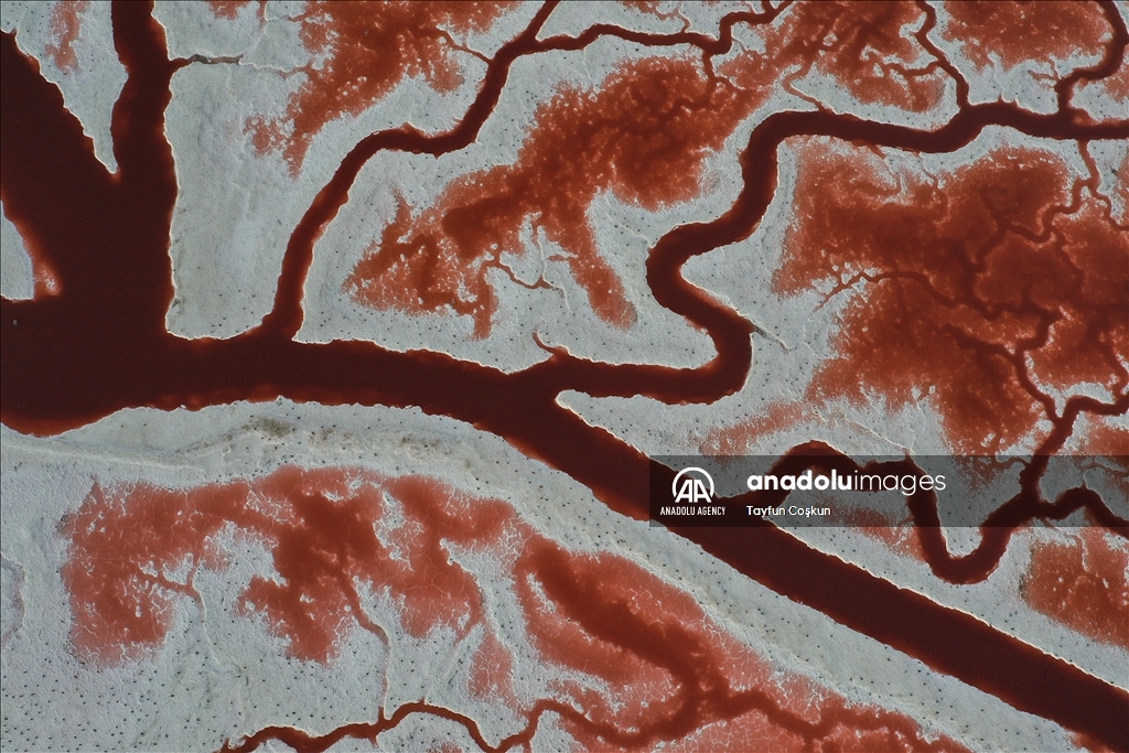 Salt ponds of Alviso Marina County Park in California