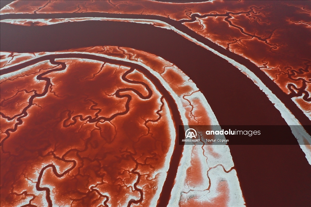 Salt ponds of Alviso Marina County Park in California