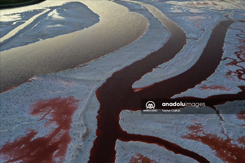 Salt ponds of Alviso Marina County Park in California