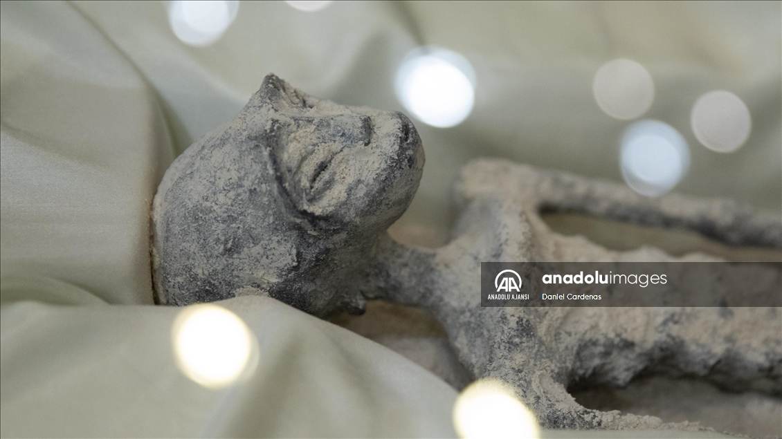 Jamia Maussan uzaylılara ait olduğunu iddia ettiği fosillerle ilgili Meksika City'de basın açıklamasında bulundu