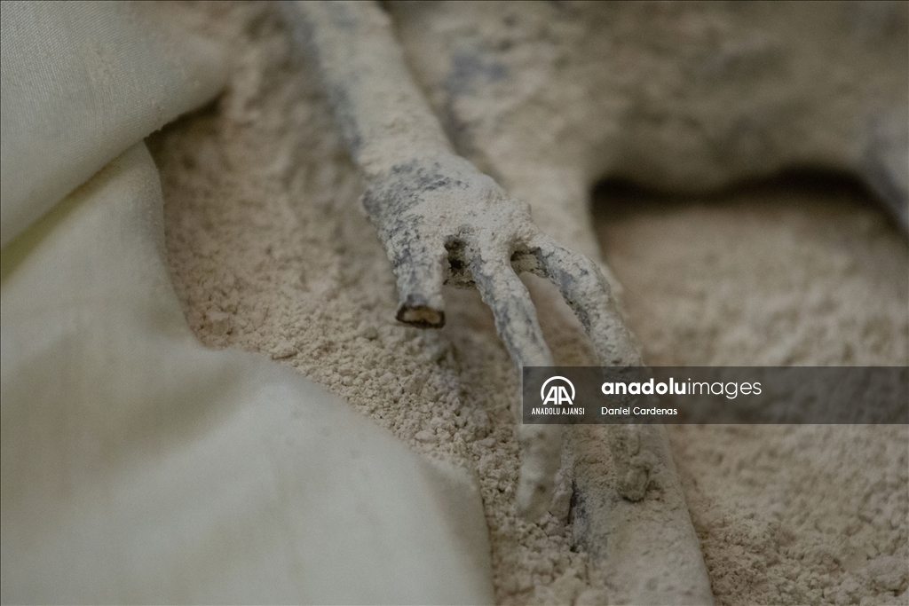 Jamia Maussan uzaylılara ait olduğunu iddia ettiği fosillerle ilgili Meksika City'de basın açıklamasında bulundu