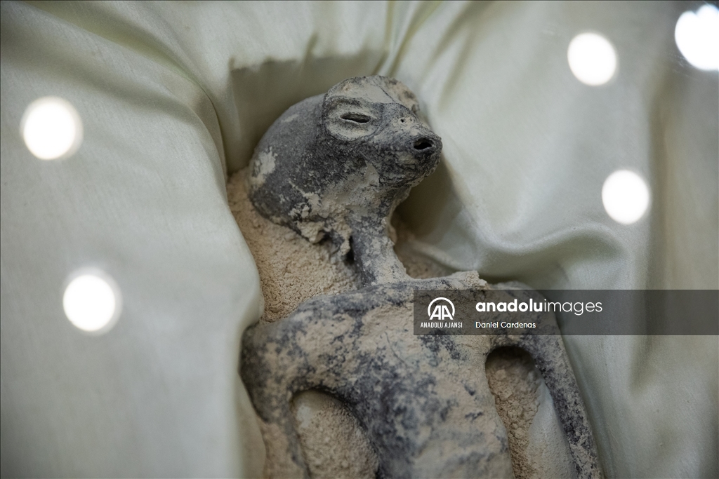 Jamia Maussan uzaylılara ait olduğunu iddia ettiği fosillerle ilgili Meksika City'de basın açıklamasında bulundu