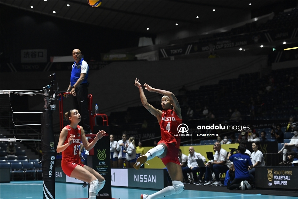 Voleybol: 2024 Paris Olimpiyat Oyunları elemeleri