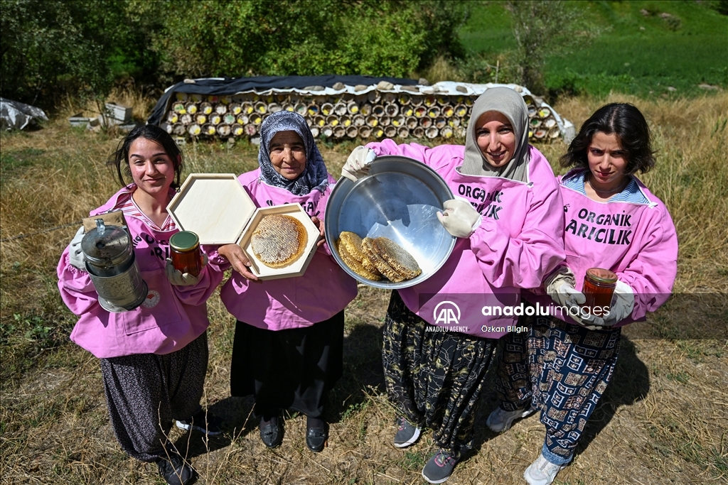 Jinên cilpembe li zozana raqim 2 hezar û 800î dest bi vekirina kewarên hingiv kirin